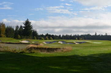 sunlit golf course with bunkers and trees and sand trap and native grass hazards