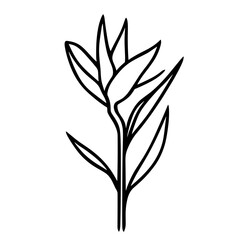 Fototapeta premium Simple line drawing of bird of paradise flower with leaves 