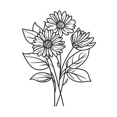 Line drawing of a bouquet of asters with leaves on a white background  