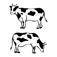 シンプルな手描き風の牛の全身イラスト /ウシ、乳牛、ホルスタイン、線画、黒、cow、illustration