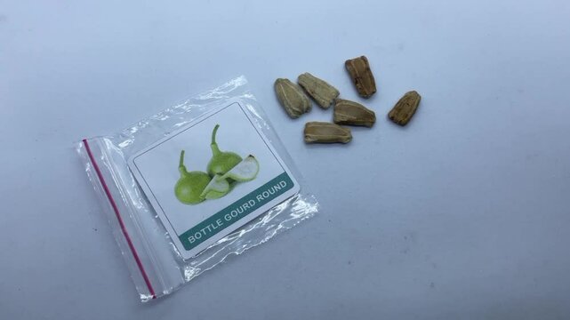 India Maharashtra Mumbai May 31 2025: a packet of bottle gourd seeds, labeled "BOTTLE GOURD ROUND", along with a small pile of loose seeds.