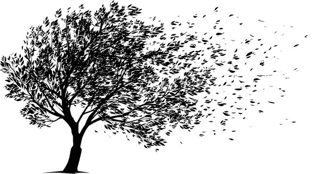 Tree with leaves blowing in wind silhouette vector isolated on white background  -  