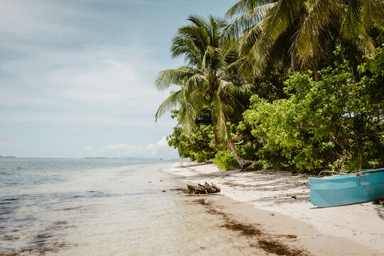 Beach with palm trees and blue boat during summer holiday