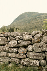 Lichen covered rocks are stacked to form a wall along hillside