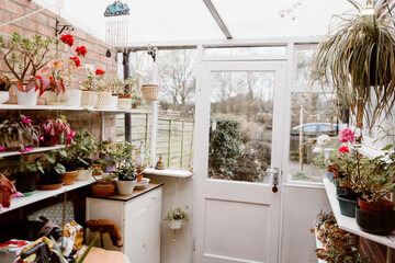 Indoor garden room with potted plants in Great Massingham, UK