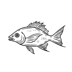 Fototapeta premium Line drawing of a parrotfish swimming in water 