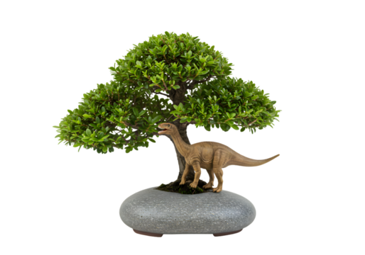 Dinosaur Bonsai Tree: Unique Miniature Garden Decor on white background