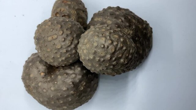 two bulbils of Dioscorea bulbifera, commonly known as air potato