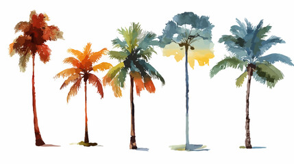 Fototapeta premium Watercolor coconut tree set simple silhouette vector isolated on white background - 