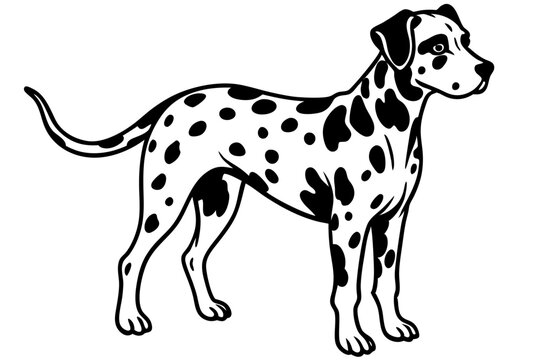 Spotted dalmatian dog illustration silhouette vector illustration