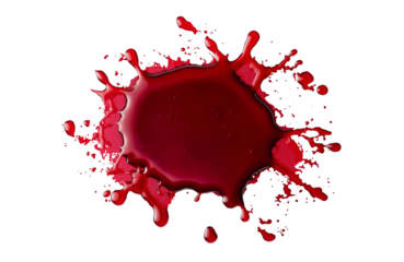 Large puddle of blood with splashes and droplets isolated on transparent background, ideal for Halloween or crime scene concepts