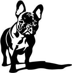 vector illustration of a dog