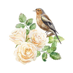 Roses and bird. Vintage postcard. Hand drawn watercolor illustration isolated on white. For wedding invitations, birthday, mothers day, valentines day banners, posters.