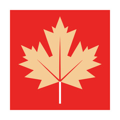 Three vibrant autumn maple leaves cluster