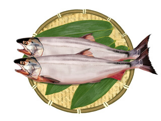 鮭（2尾）ザル付き