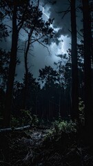 Obraz premium Stormy Night in a Remote Forest with Lightning and Tall Trees
