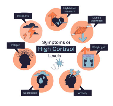 Symptoms of high cortisol levels are shown with icons for irritability, fatigue, and anxiety in a doodle style diagram, transparent background. Doodle style diagram