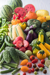 【夏野菜】表情豊かな夏野菜たち。トマト・ズッキーニ・ゴーヤ・オクラ・トウモロコシ・ナス・キュウリ・カボチャ・パプリカ・スイカ