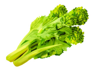 菜の花（食用）
