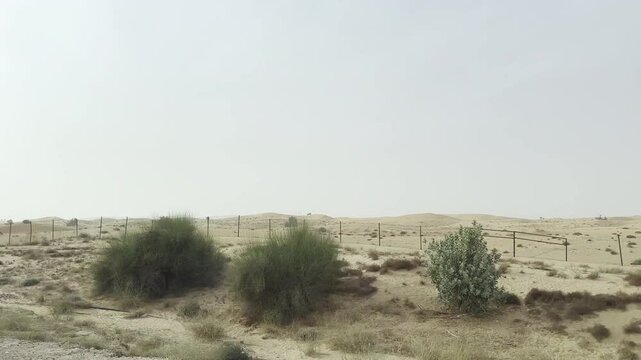 Driving Through Dubai POV: Driving Car Passenger Side Panorama Video Driving Plate. Driving on a desert highway outside of Dubai