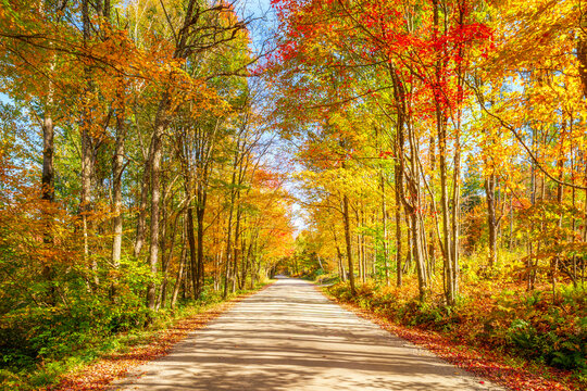 Scenic autumn view of a tree-lined road in Vermont, New England with colorful fall foliage and blue sky
