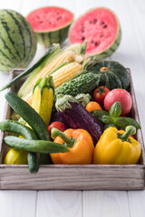 【夏野菜】表情豊かな夏野菜たち。トマト・ズッキーニ・ゴーヤ・オクラ・トウモロコシ・ナス・キュウリ・カボチャ・パプリカ・スイカ