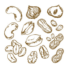 Doodle Nut Collection