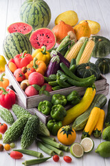 【夏野菜】表情豊かな夏野菜たち。トマト・ズッキーニ・ゴーヤ・オクラ・トウモロコシ・ナス・キュウリ・カボチャ・パプリカ・スイカ