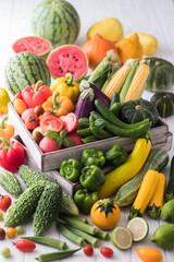 【夏野菜】表情豊かな夏野菜たち。トマト・ズッキーニ・ゴーヤ・オクラ・トウモロコシ・ナス・キュウリ・カボチャ・パプリカ・スイカ