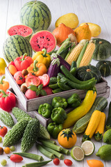 【夏野菜】表情豊かな夏野菜たち。トマト・ズッキーニ・ゴーヤ・オクラ・トウモロコシ・ナス・キュウリ・カボチャ・パプリカ・スイカ