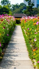 Serene Hallway Surrounded by Colorful Blooming Flowers in Field