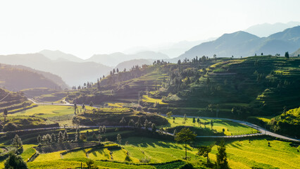 Landscape of Ming'ao terraced fields in Wenzhou, Zhejiang, China