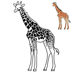 Editable giraffe coloring book with separate objects