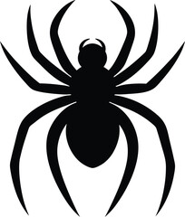 spider on a white background