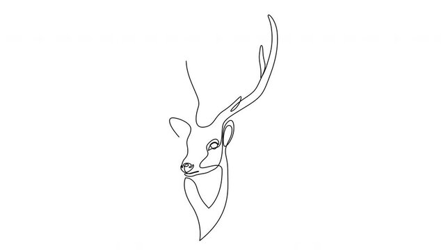 Animated self drawing of single continuous line draw elegance cute deer for national zoo logo identity. Full length one line animation illustration.