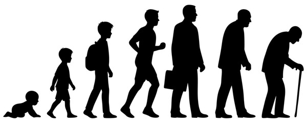 Silhouette of life cycle man illustration 