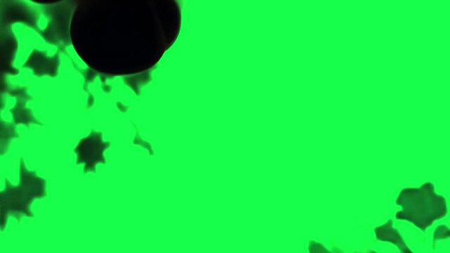 Black ink swirl animation, transparent 4K video, green screen