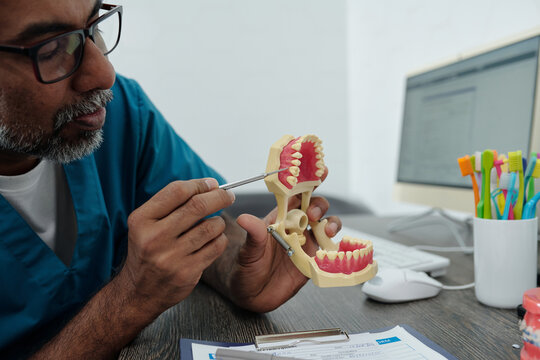 Mature Dentist Demonstrating Process of Treatment Using Dental Model