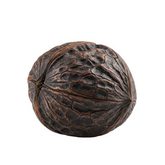 Fototapeta premium Ultra realistic UHD photo of a black walnut in shell from a 3/4 view, with clear contours and lifelike accuracy on a transparent background, standalone full object, no shadows. Healthy food