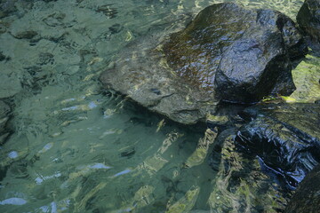 the rock and water in the waterfall