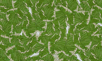 Green  tropical   leaves   spring nature  wallpaper  background