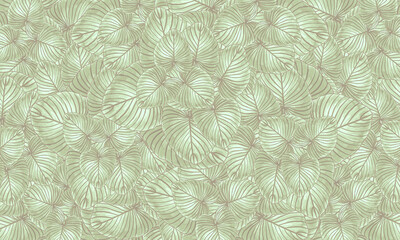 Green  tropical   leaves   spring nature  wallpaper  background