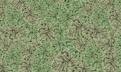 Green  tropical   leaves   spring nature  wallpaper  background