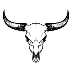 Bull Skull Illustration vector