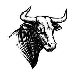 Hand drawn Bull Head Illustration