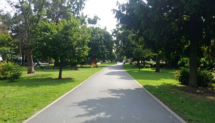 Obraz premium Serene park pathway with lush green grass and tall trees casting shadows on sunny day. Ideal for relaxation, walking, and enjoying nature.