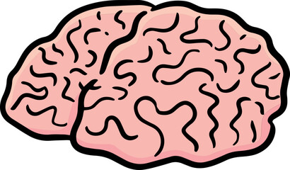 Illustration of brain
