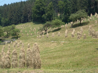 Heuhiefel . Heuhmandl . Haystacks . Army