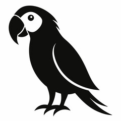 black and white parrot