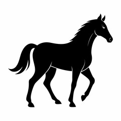 horse vector illustration